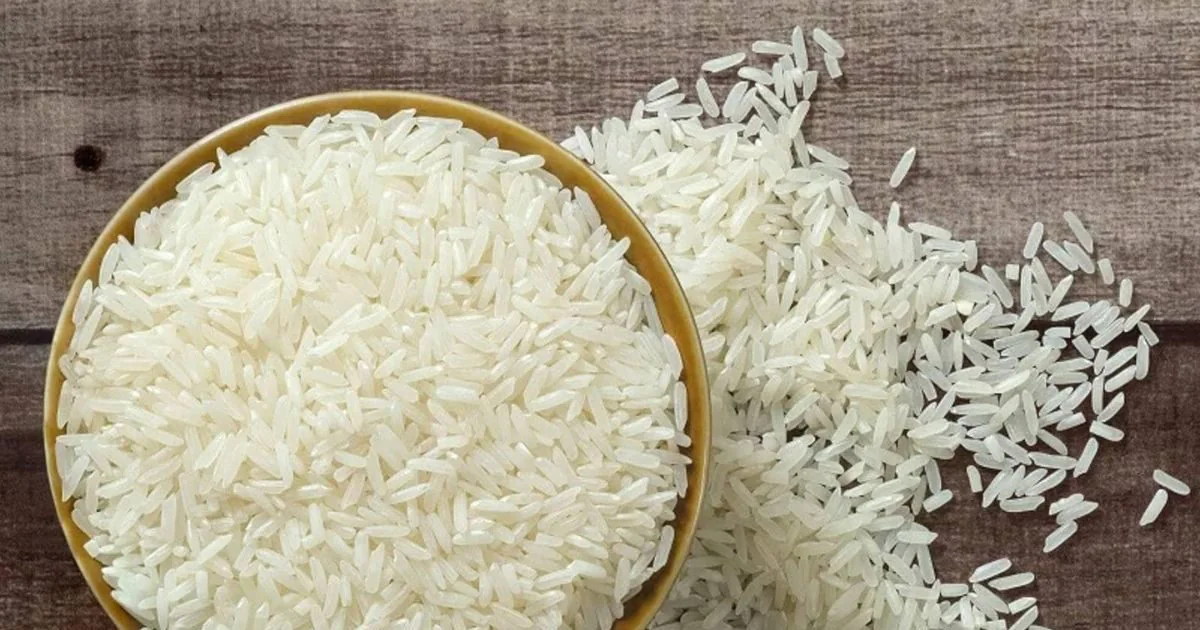 rice-export-166979082216x9.jpg.webp